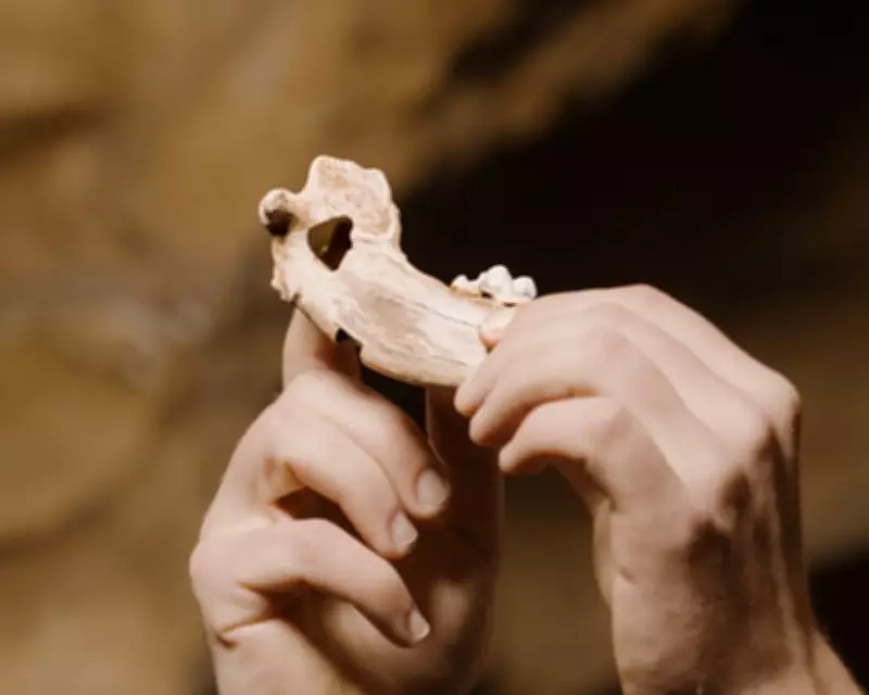 Ancient Bond Between Dogs and Humans Traced Back 15,000 Years in New Study