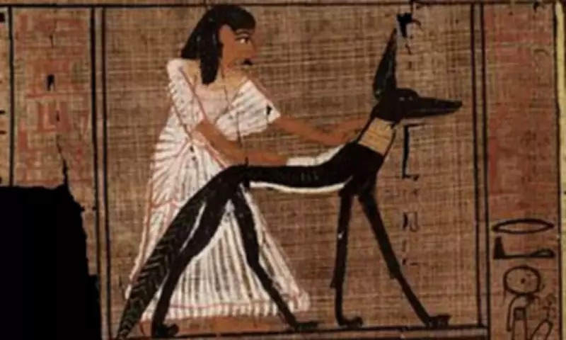 Ancient Egyptian Scribes Used 3,000-Year-Old 'Tippex' to Correct Papyrus Errors