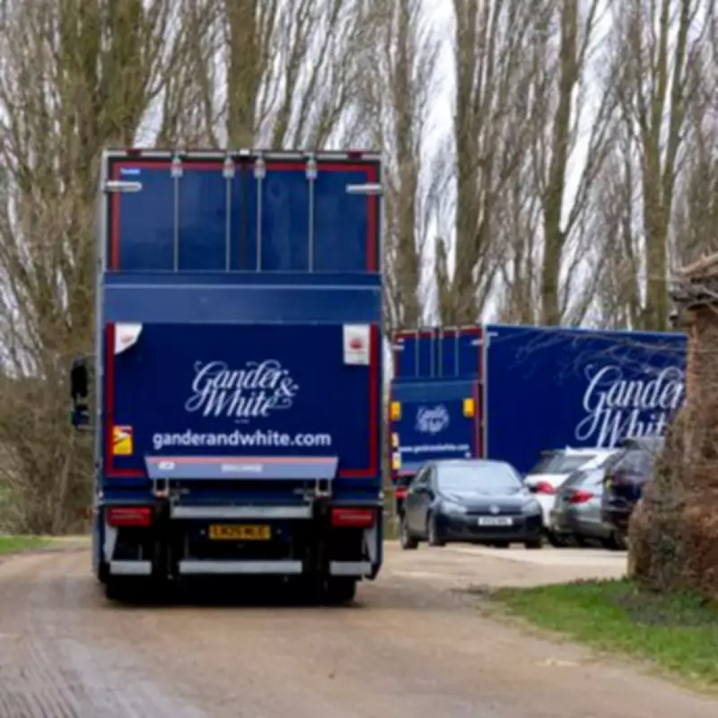 Andrew Mountbatten-Windsor Prepares for New Home as Removal Vans Arrive at Sandringham