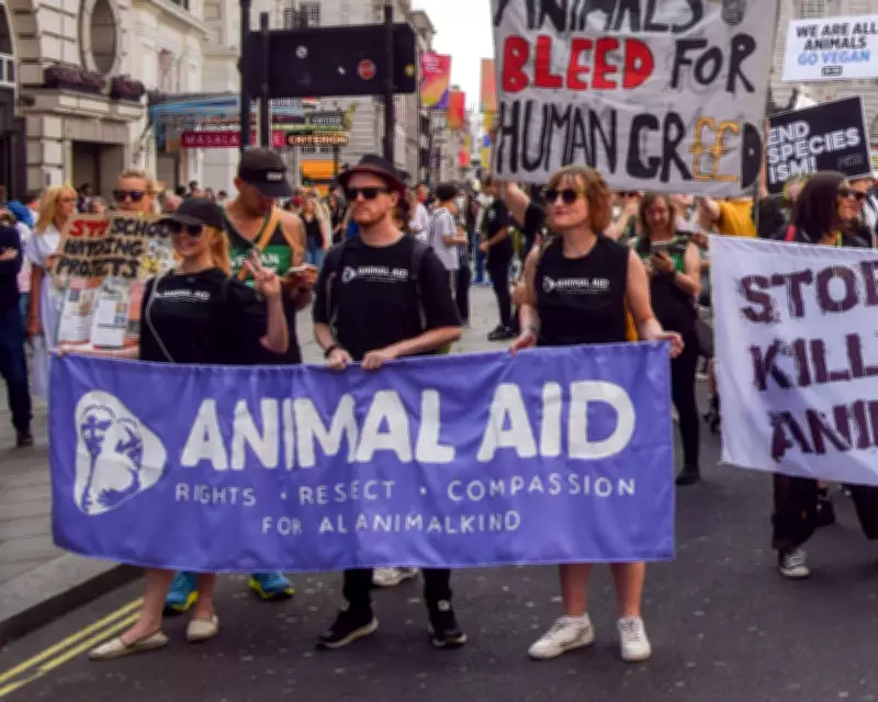 Animal Aid Launches Legal Challenge Over 'Chilling' Protest Law Change