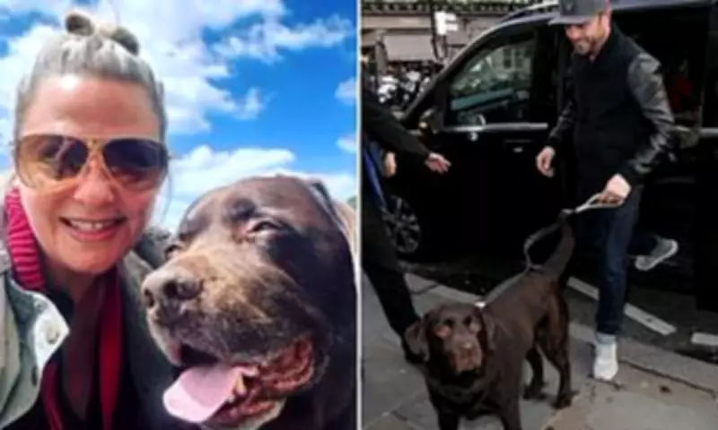 Ant McPartlin and Lisa Armstrong Divide Beloved Dog Hurley's Ashes After Death