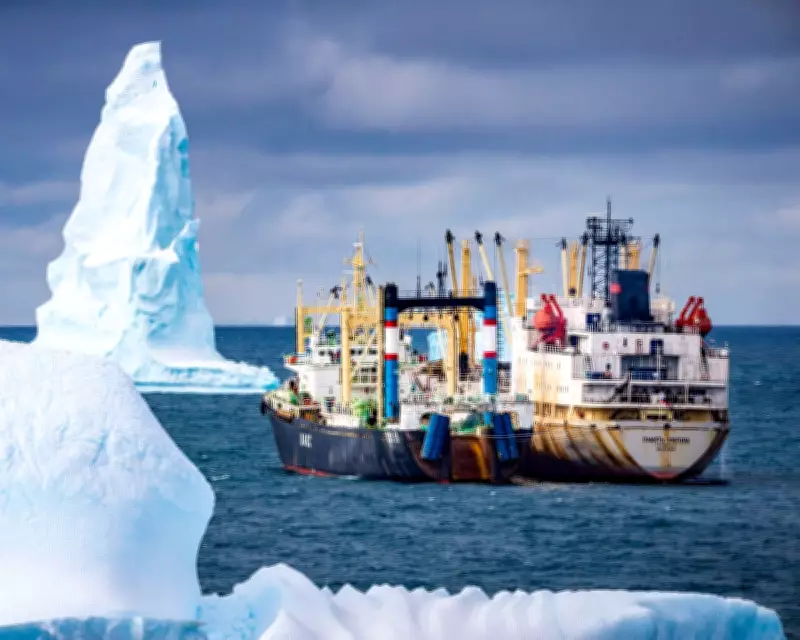 Antarctic Whale Comeback Threatened by Industrial Krill Fishing in Southern Ocean