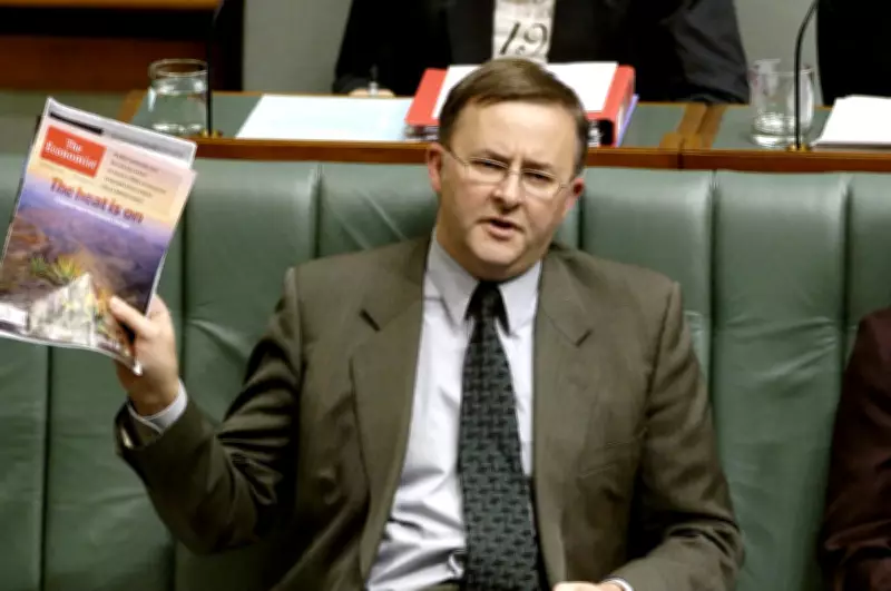 Anthony Albanese's 30-Year Parliamentary Journey: From Firebrand to Prime Minister