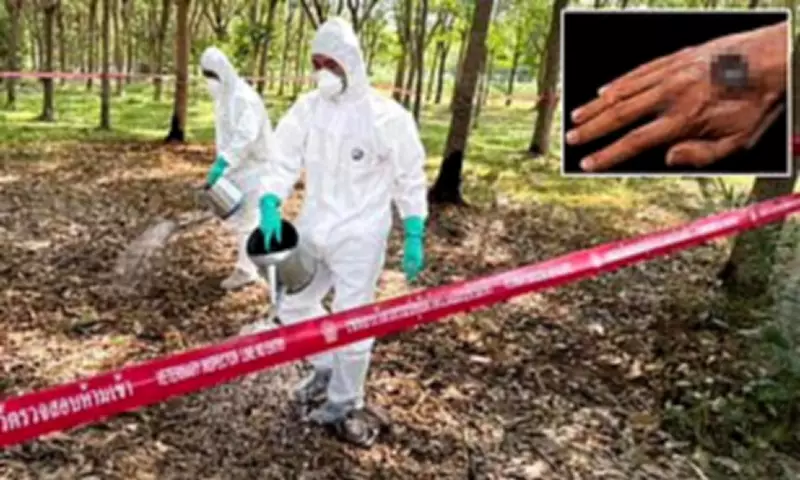 Anthrax Bacteria Lurk in US Soil, Scientists Warn of Hidden Threat