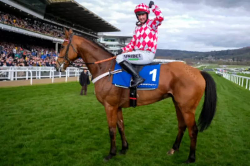 Arkle Chase 2026 Betting Guide: Odds, Trends & Tips for Cheltenham