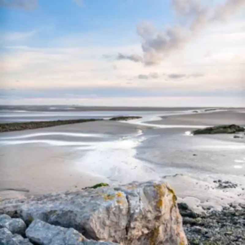 Arnside & Silverdale: The Perfect Lake District Alternative With Rare Wildlife