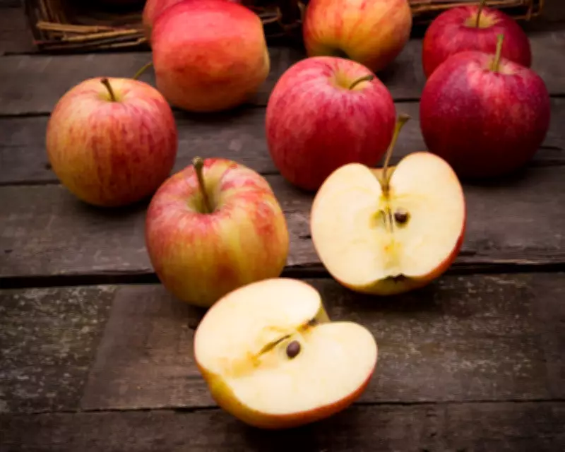Autumn's Bounty: Gala Apples and Nashi Pears Lead Australia's Best-Value Produce