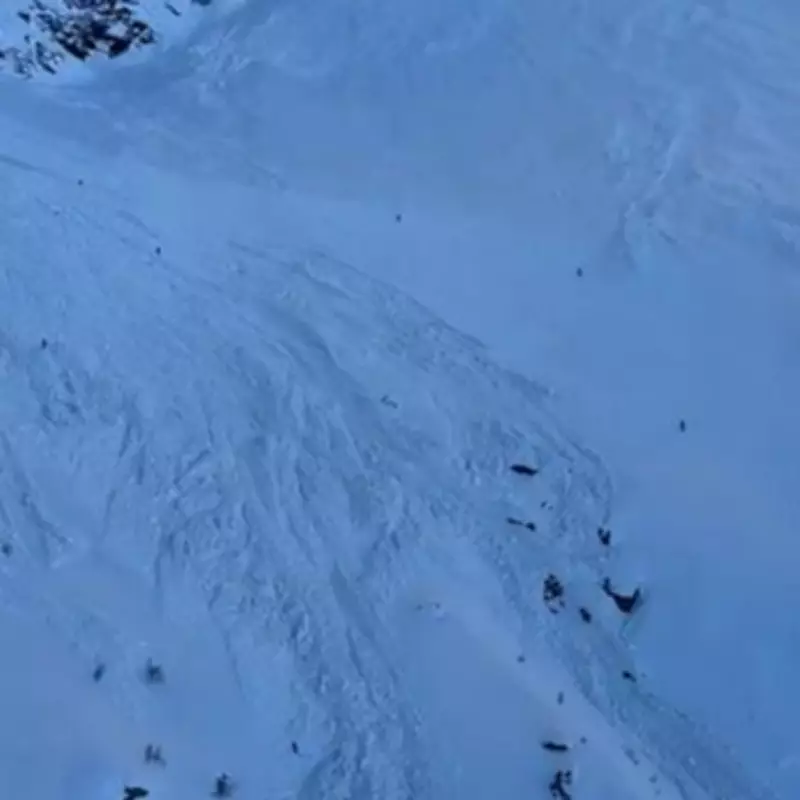 Avalanche Tragedy in Italian Alps: Two Dead, Ten Swept Away in Major Rescue