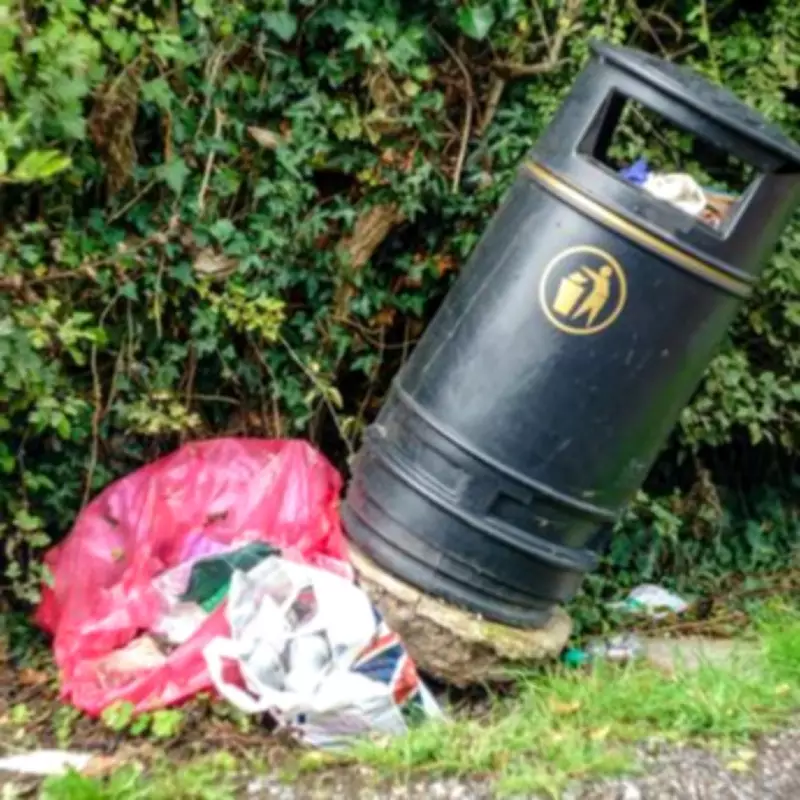 BBC Expert Warns of New Bin Fines Even for Overflowing Rubbish