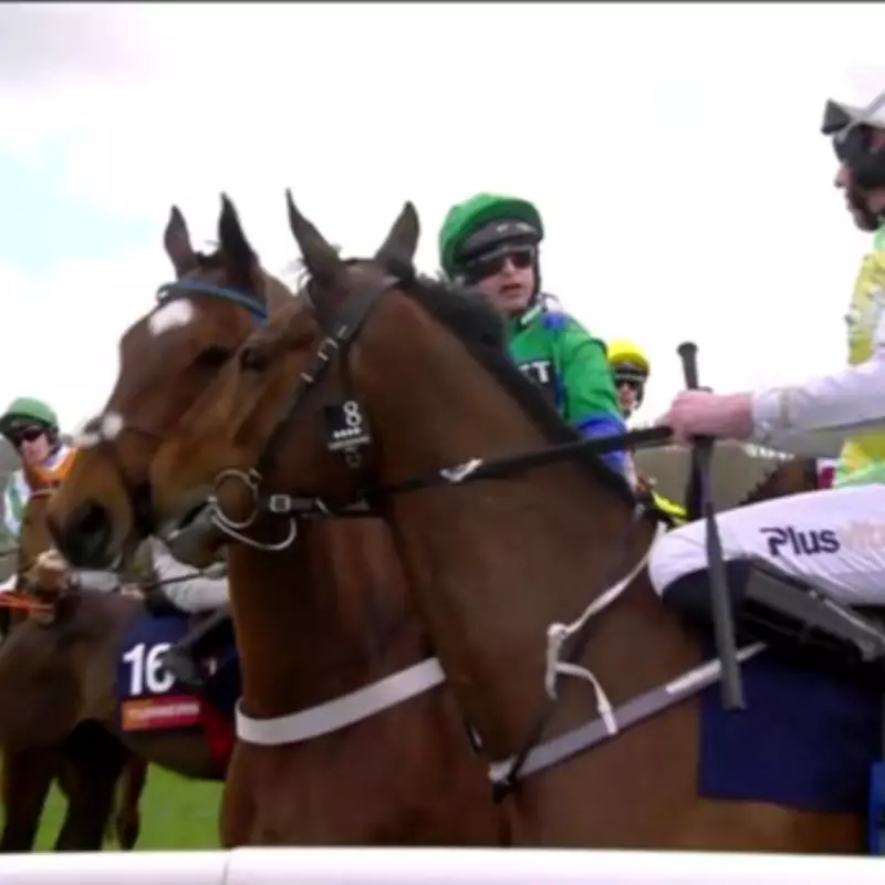 BHA Investigates Racial Abuse Allegation at Cheltenham Involving Jockeys