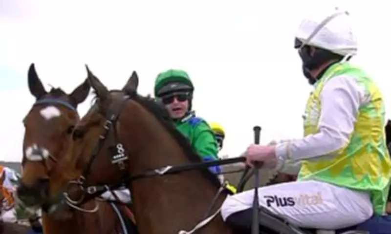 BHA Investigates Racism Allegation After Jockey Spat at Cheltenham Festival
