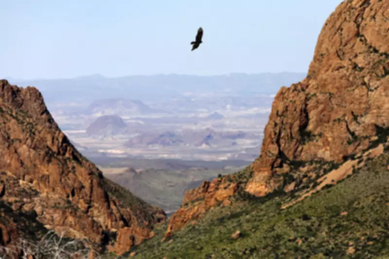 Big Bend National Park's Chisos Basin to Close for Two-Year Renovation Project