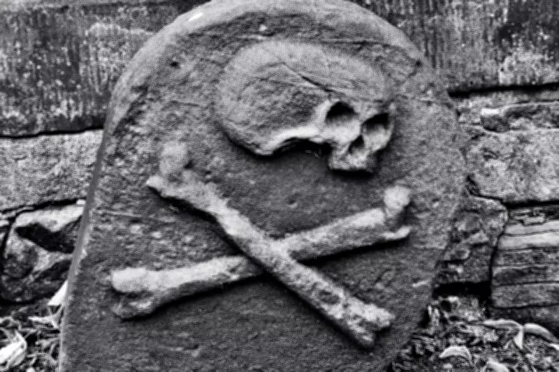 Black Death's Surprising Impact: Plant Diversity Plummeted, Study Reveals