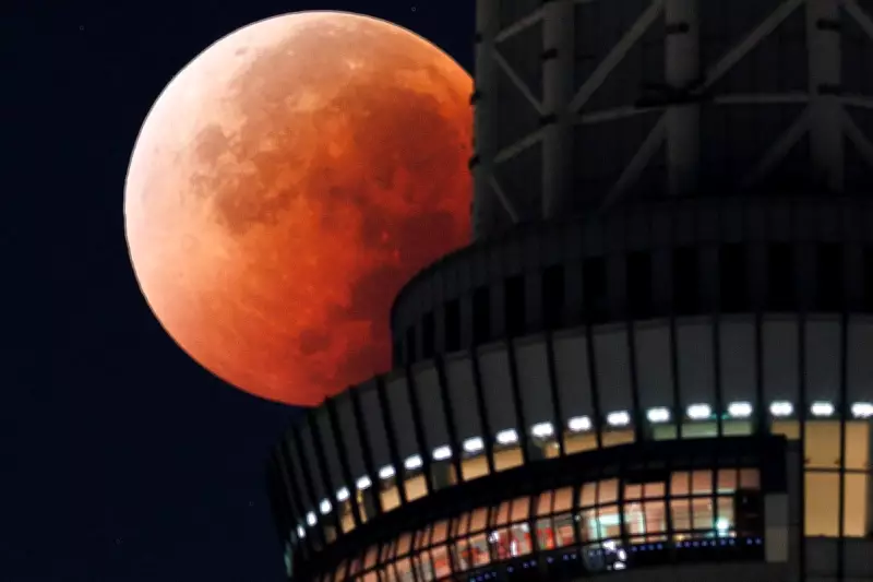 Blood Red Moon: Total Lunar Eclipse to Illuminate Skies This Week