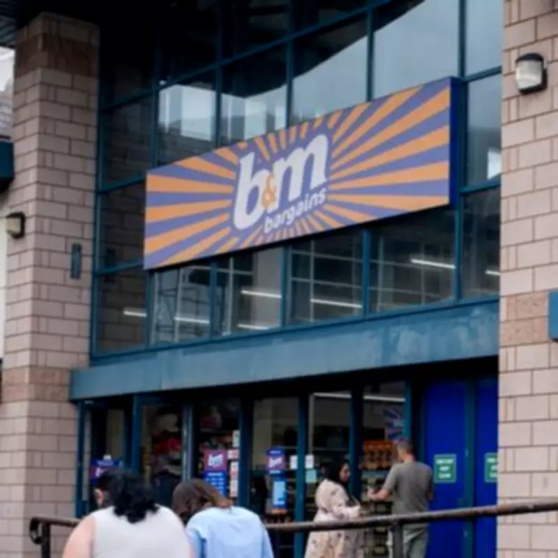 B&M's £55 Garden Set Rivals Dunelm's £70 Loungers for Comfort and Style