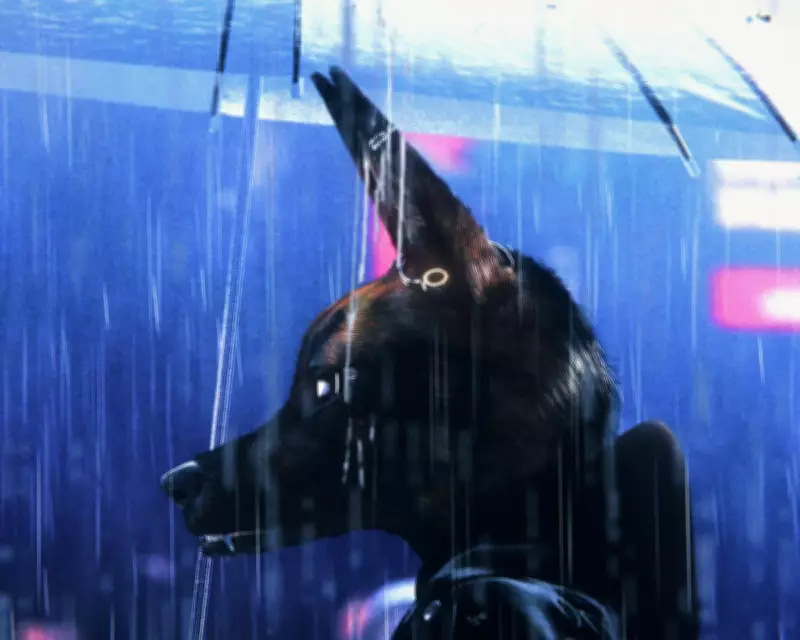 Bouchra Review: Prada-Wearing Coyote Maps Queer Experience in Debut Film