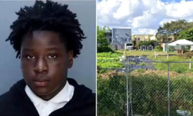 Boy, 12, Pleads for Release After Alleged Role in Gang Rape of Girl in Miami