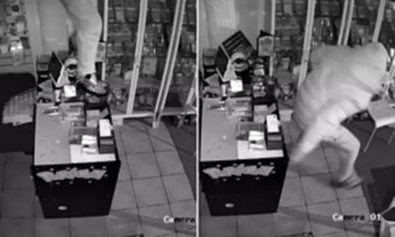 Brazen Pokémon Thief Smashes Gaming Shop, Steals £20,000 in Rare Cards