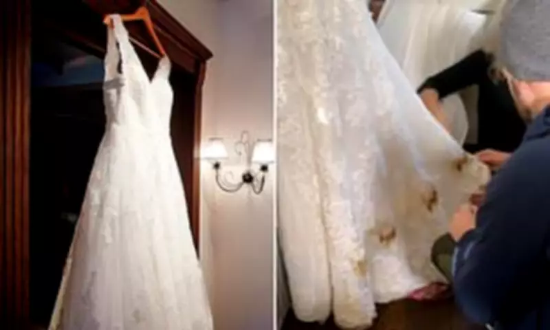 Bride's Wedding Dress Ruined by Heater Hours Before Ceremony