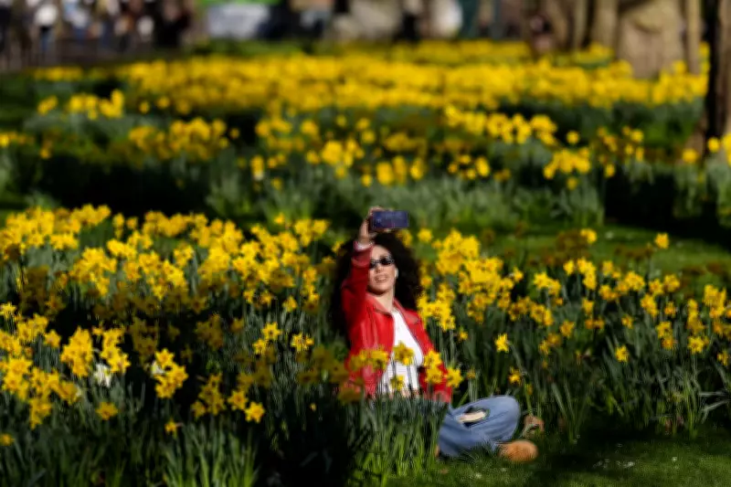 Britain Braces for Warmest Day of 2026 as Meteorological Spring Arrives