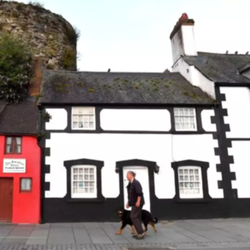 Britain's Smallest House: A Tale of History, Tourism, and Unusual Tenants