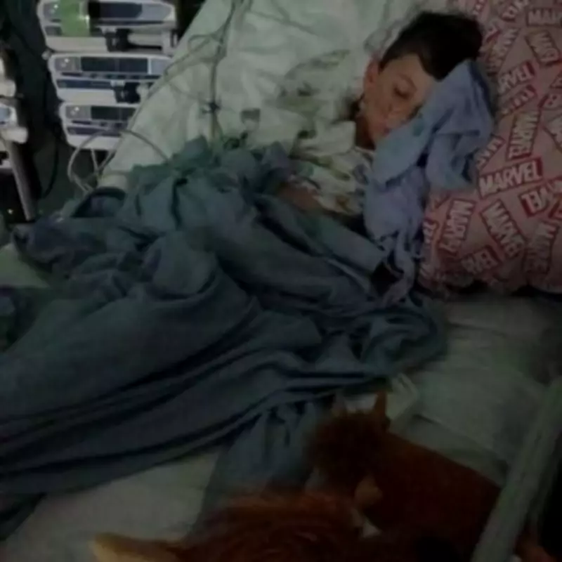 British Boy, 7, Hospitalised with Life-Threatening Kidney Condition After Egyptian Holiday