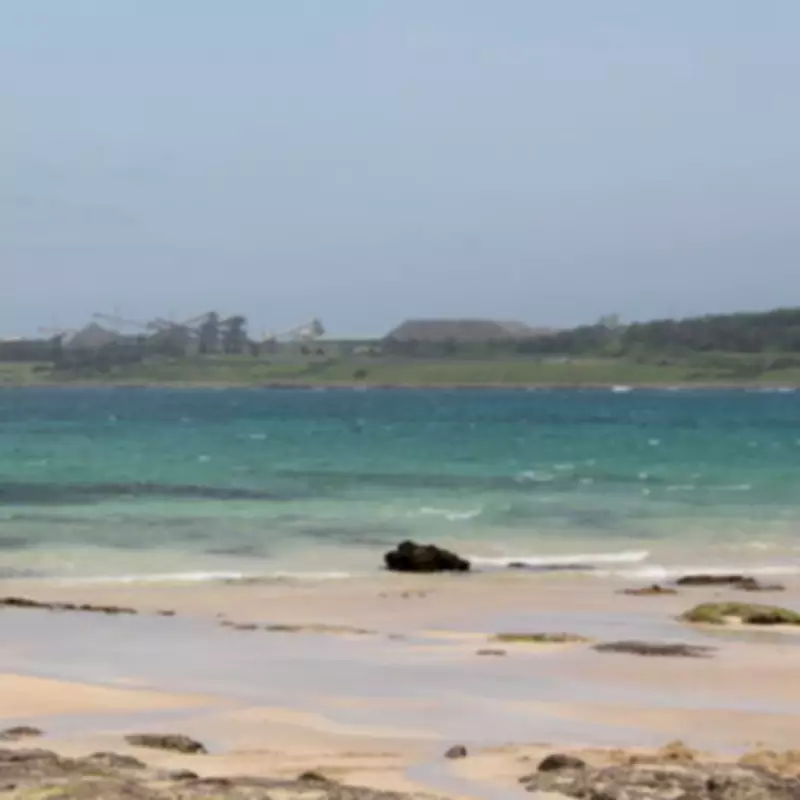 British Couple Drown at Australian Beach Despite Rescue Efforts by Beachgoers