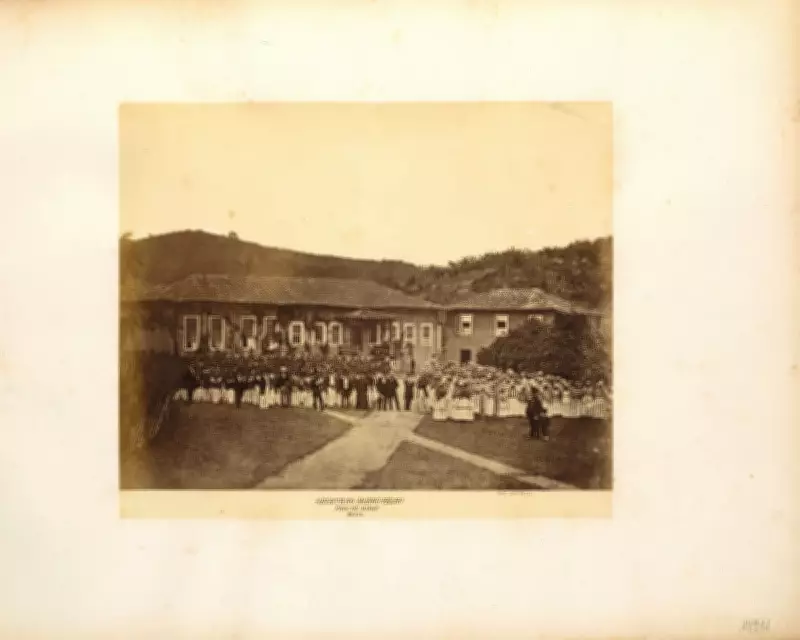 British Firms Profited from Brazilian Slavery Long After Abolition, Historian Reveals