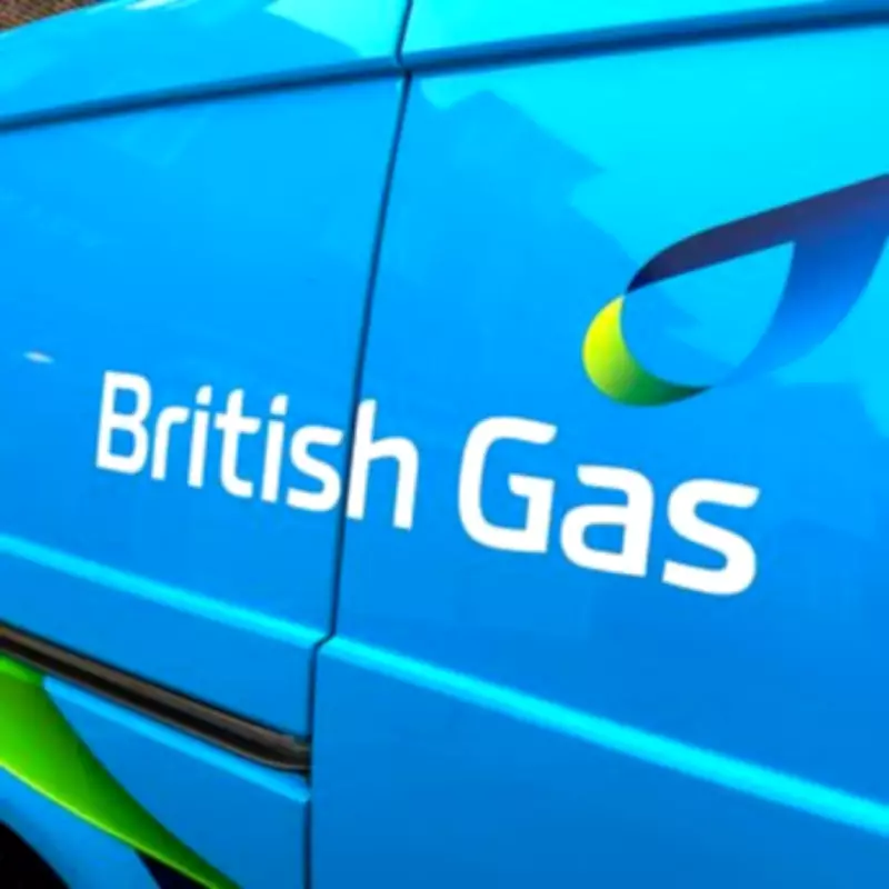 British Gas Announces £117 Annual Energy Bill Reduction Starting April 1