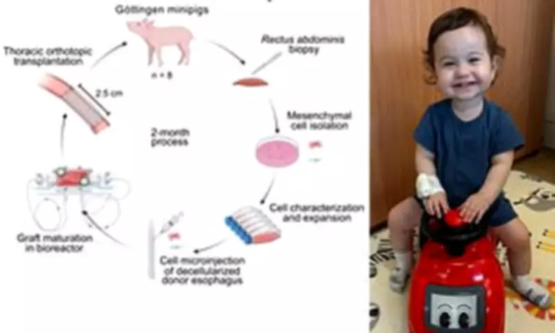 British Scientists Create Lab-Grown Oesophagus That Could Transform Treatment for Babies