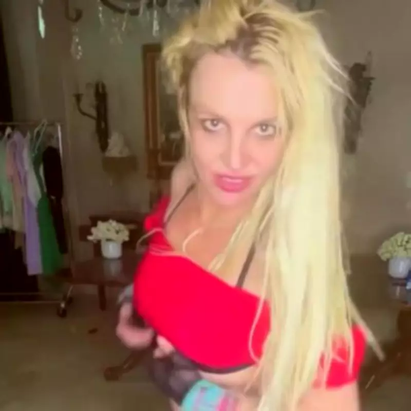 Britney Spears' Representative Issues Statement After Singer's Arrest