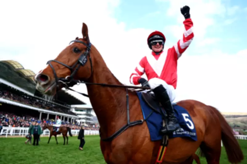 Brown Advisory Novices' Chase: Latest Odds, Betting Trends & Tips