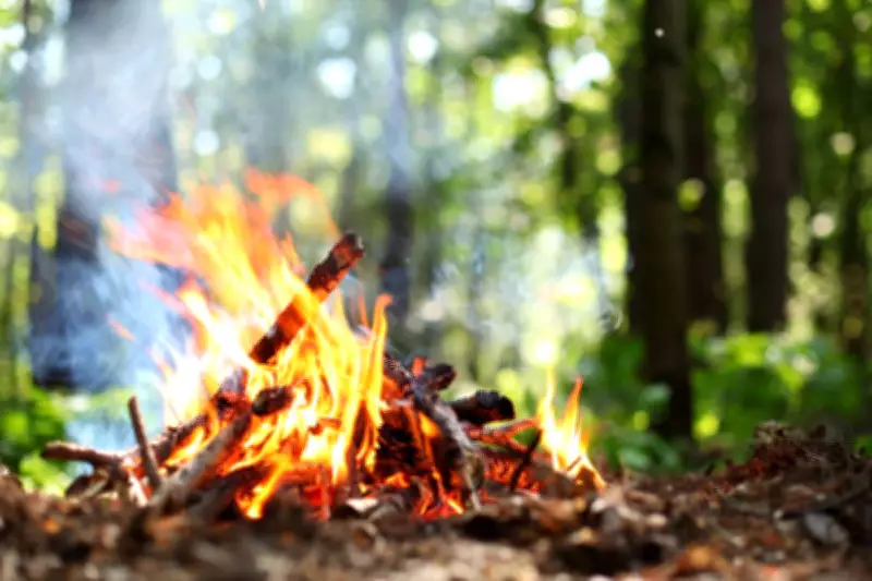Cairngorms National Park Implements Seasonal Campfire Ban to Combat Wildfire Threat