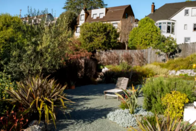 California's Berkeley Faces Escalating Wildfire Risk Amid Climate Change