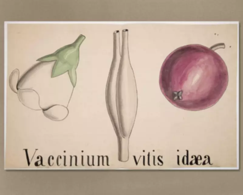 Cambridge Revives Darwin's Botany Course Using 200-Year-Old Henslow Archive