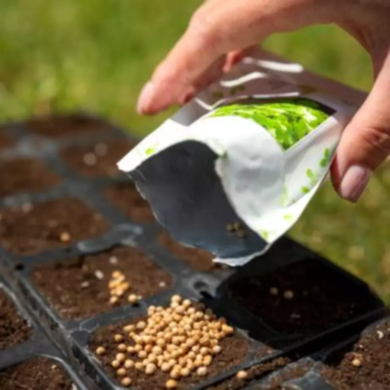 Can You Still Plant Old Seeds? Experts Reveal If Expired Packets Are Worth Using