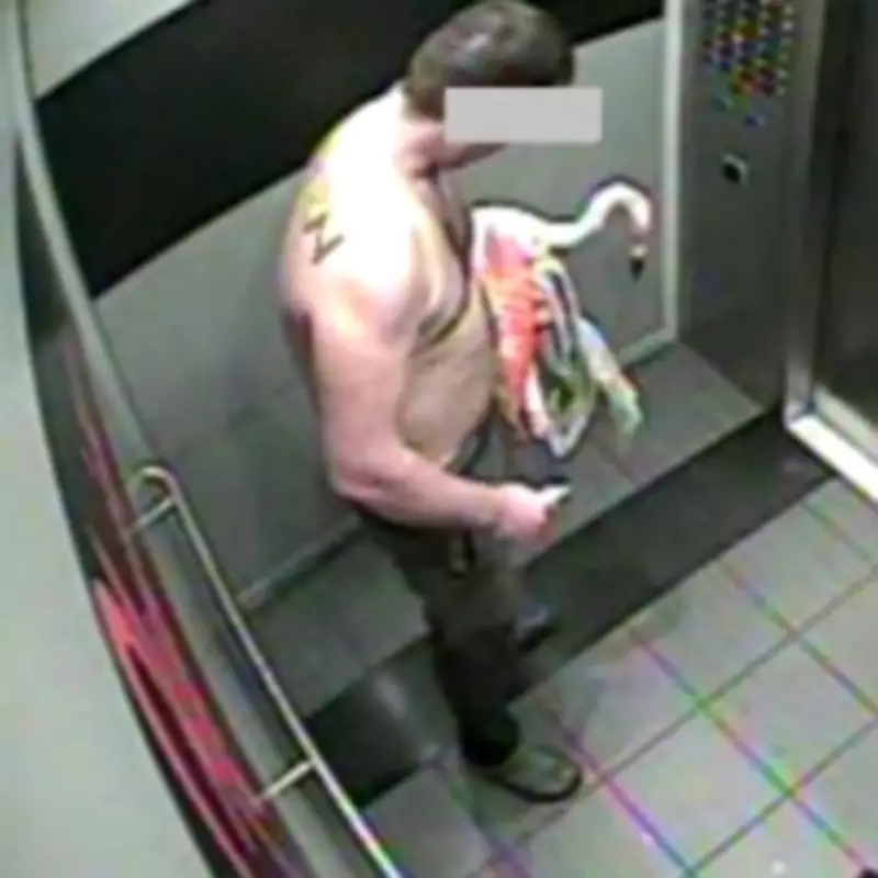 Canadian Man Charged with Felony Animal Cruelty After Flamingo Hotel Break-In