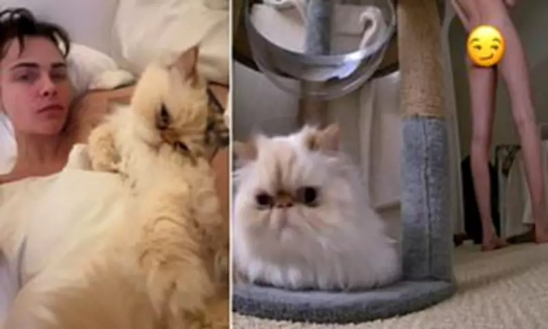 Cara Delevingne Shares Intimate Instagram Snaps with Girlfriend Minke