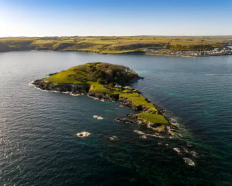 Castaway in Cornwall: A Secluded Stay on Looe Island's Nature Reserve