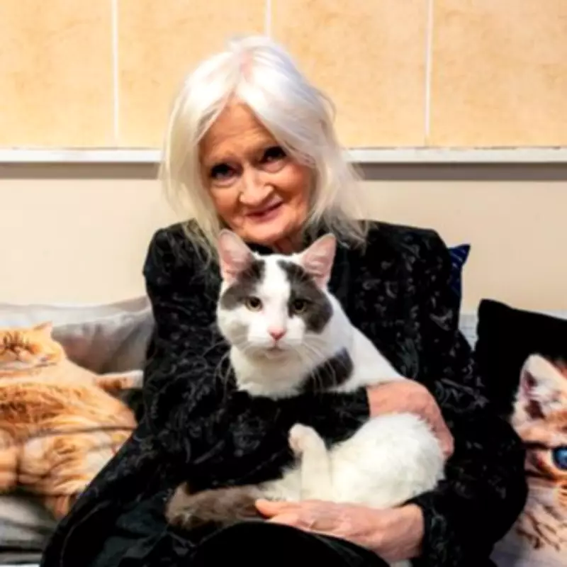 Celia Hammond: From Swinging Sixties Model to Lifelong Animal Rescue Champion