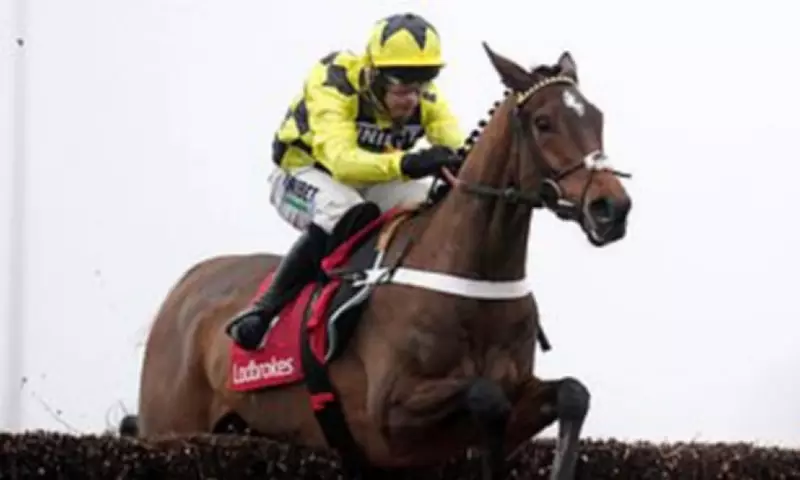 Champion Racehorse Sir Gino Dies After Battle with Infection