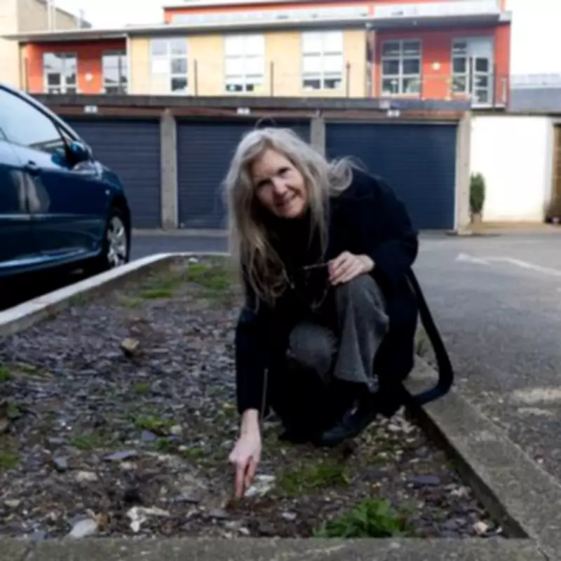 Chelsea's 'Rat City' Estate Plagued by Persistent Vermin Infestation