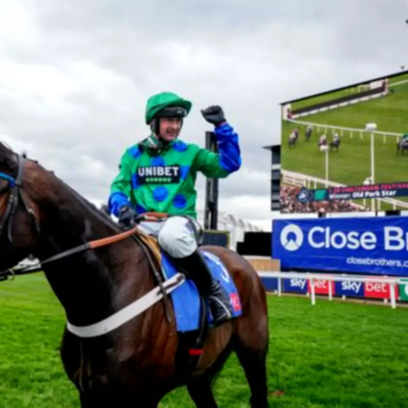 Cheltenham Bookies Stunned as Favourite's Win Costs Over £1 Million