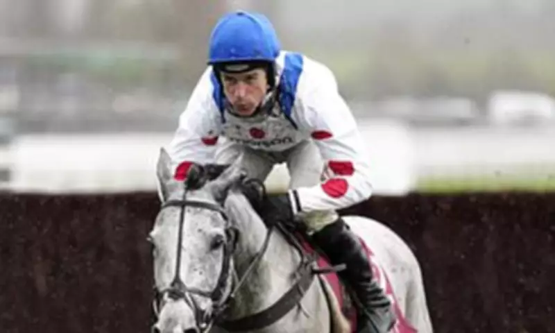 Cheltenham Day Two: Expert Racing Tips for All Seven Thrilling Races
