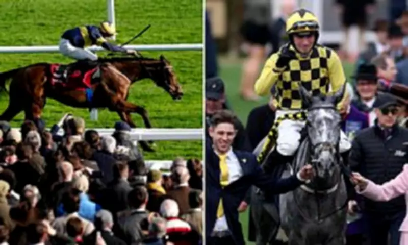 Cheltenham Drama: Nicholls' Disappointment, Cobden's Brilliance, and Galopin's Retirement