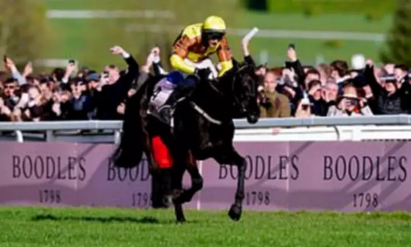 Cheltenham Festival 2025: Expert Tips and Daily Naps from Paddy Power's Racing Team