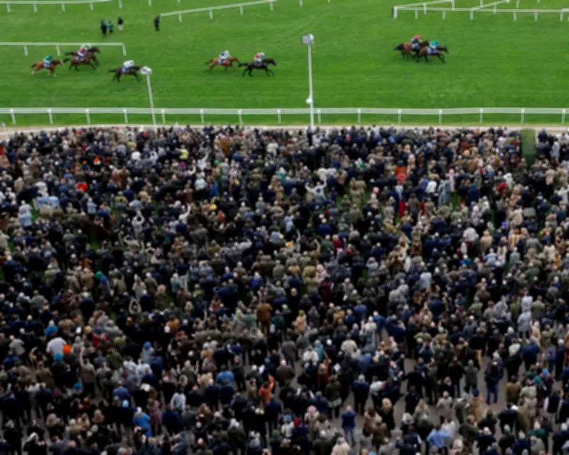 Cheltenham Festival 2026: A Bounce-Back Marred by Fatalities and Fallouts