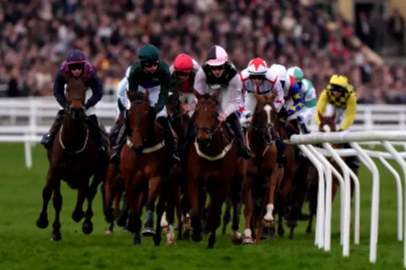 Cheltenham Festival 2026: Complete Guide to Watching Every Race Live