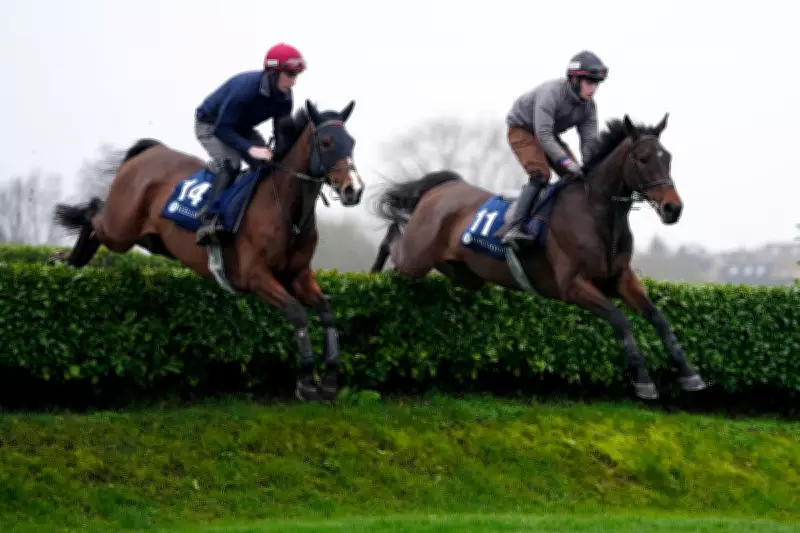 Cheltenham Festival 2026: Dates, Race Times, and Ticket Details
