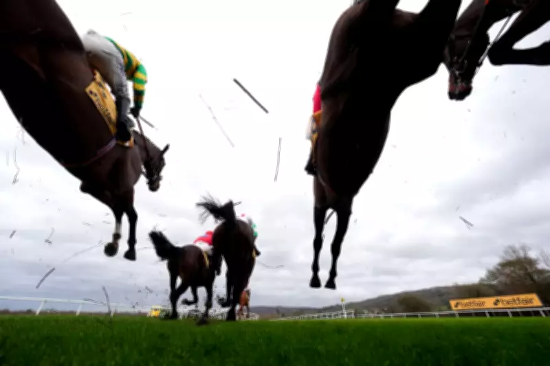 Cheltenham Festival 2026: Dates, TV Coverage, and Top Contenders Revealed